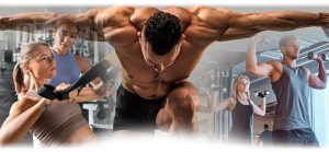 Top tips to build muscle