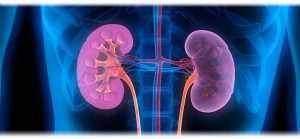 Natural ways to keep your kidneys healthy