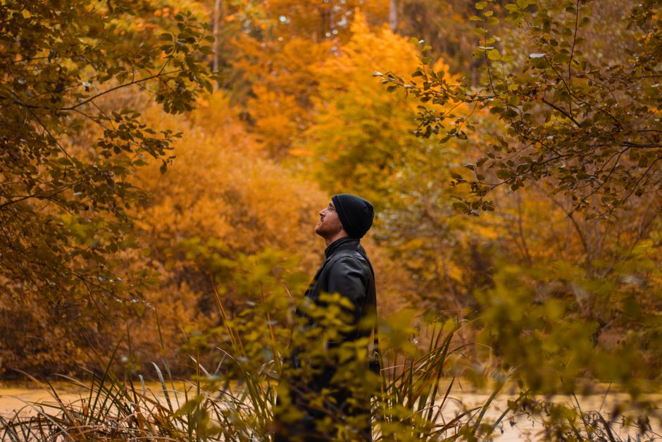 A man in a black beanie and coat standing amidst vibrant orange autumn leaves in a forest.