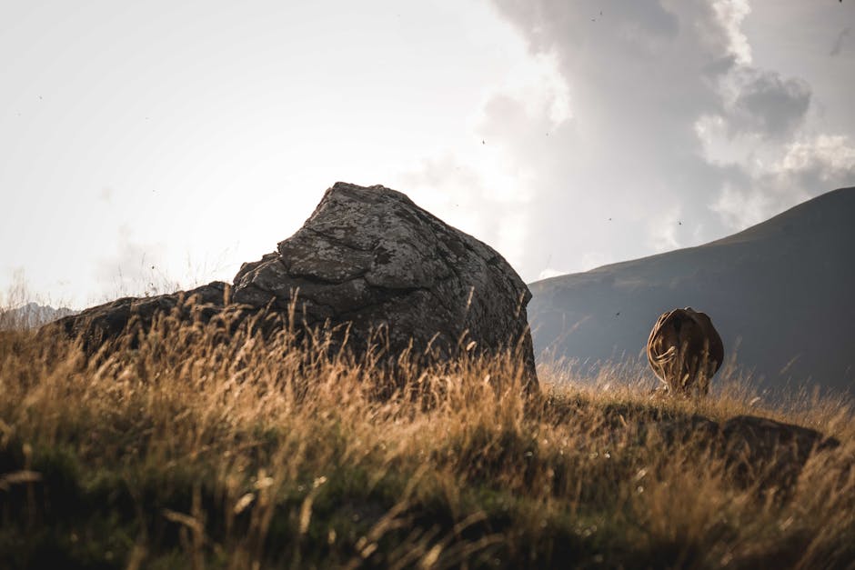 Peaceful mountain scene featuring a cow grazing near rock formations during the day.
