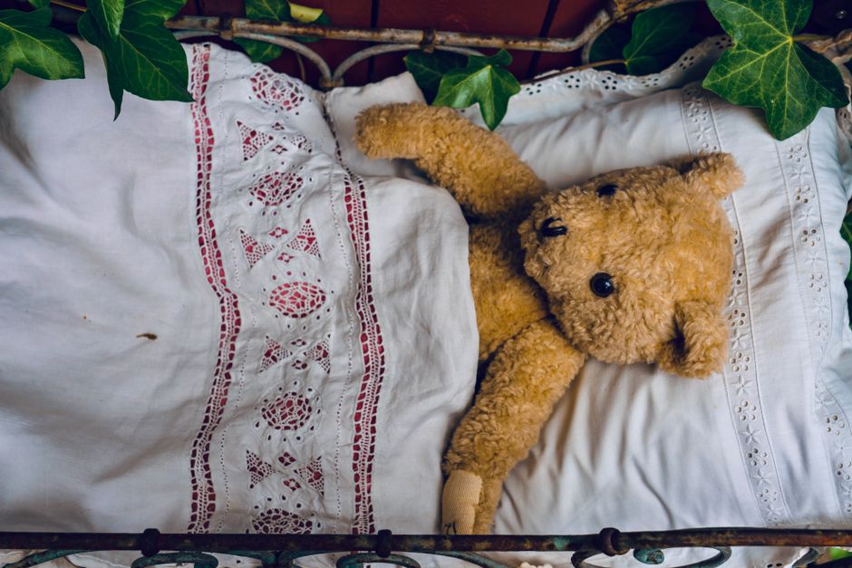 A fluffy teddy bear snugly tucked in bed, surrounded by leafy vines and decorative lace.