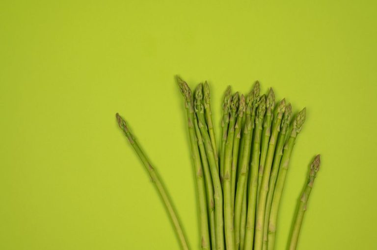 Spring Vegetables for More Fibre in Family Meals