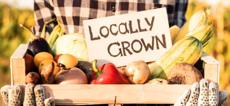 Seasonal Eating: Why Eating UK-Grown Produce is Better for You and the Planet