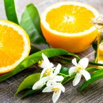 Top 10 Essential Oils and Their Benefits