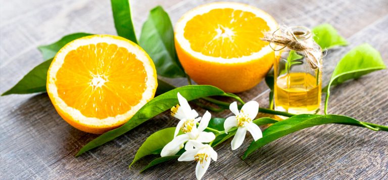 Top 10 Essential Oils and Their Benefits