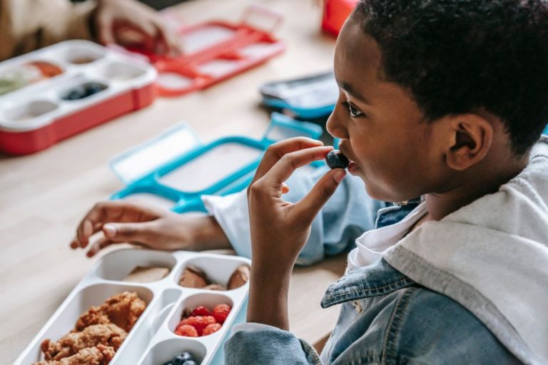 Packed Lunches for Kids: Balance Protein, Fibre and Fun