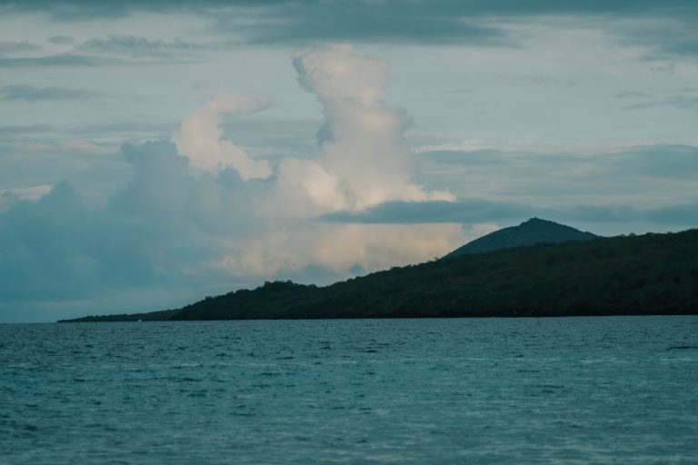 Jawbone Fitness Tracker Review: What the UP Series Still Gets Right