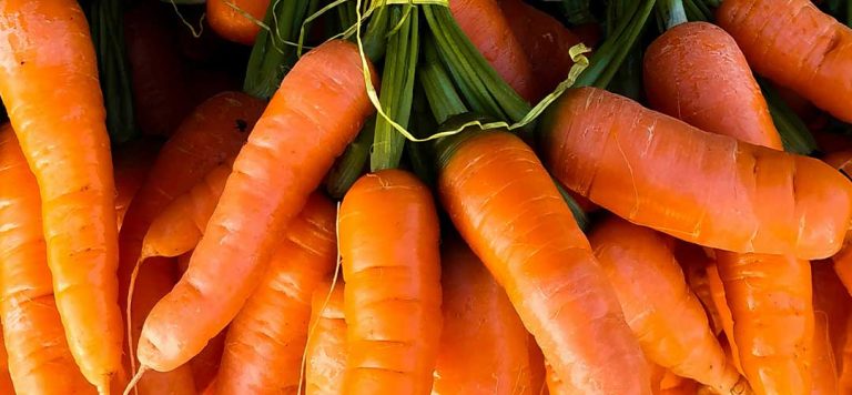 Is Raw Carrot Salad a Hormone Helper?